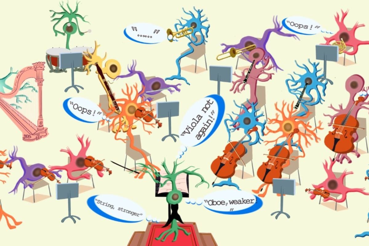 El Director de Orquesta de Tu Cerebro