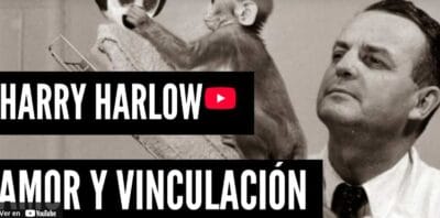 Captura vídeo Experimento de Harlow
