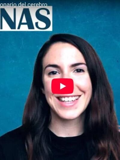 Captura de la imagen del vídeo "Qué son las neuronas".
