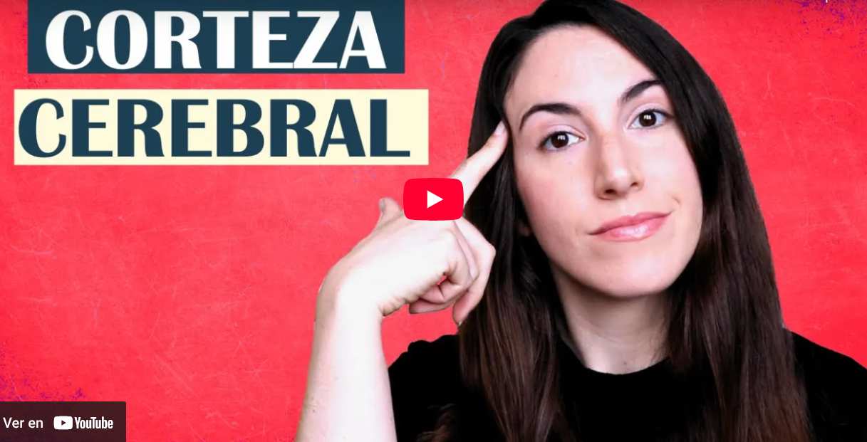 Captura del video educativo donde se explica qué es la corteza cerebral, sus partes y funciones principales.