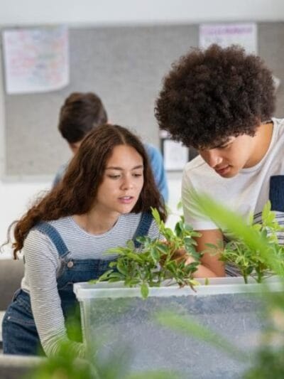 Aula, cerebro y naturaleza