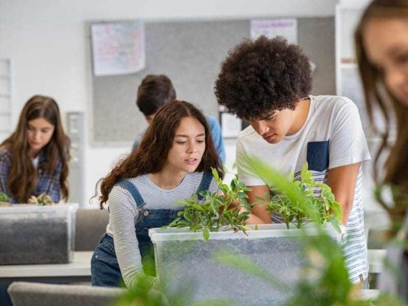 Aula, cerebro y naturaleza