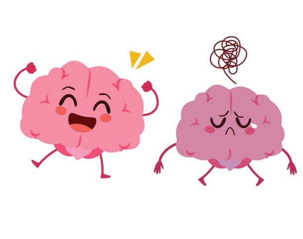 neurotransmisores