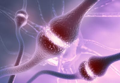 Neurotransmisores y hormonas: los mensajeros secretos de tu cerebro
