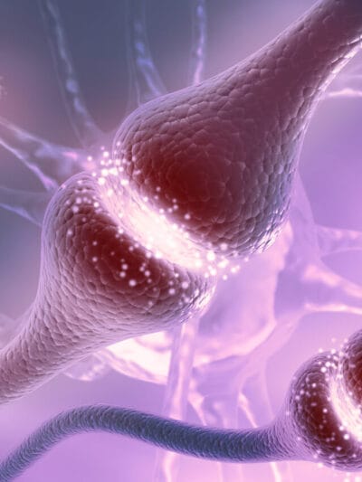 Neurotransmisores y hormonas: los mensajeros secretos de tu cerebro
