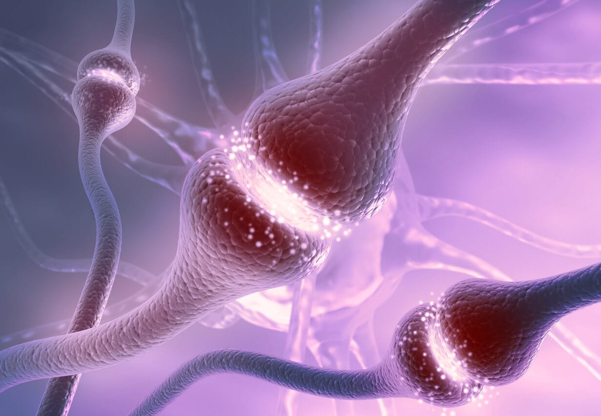 Neurotransmisores y hormonas: los mensajeros secretos de tu cerebro